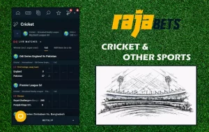 rajabets app cricket