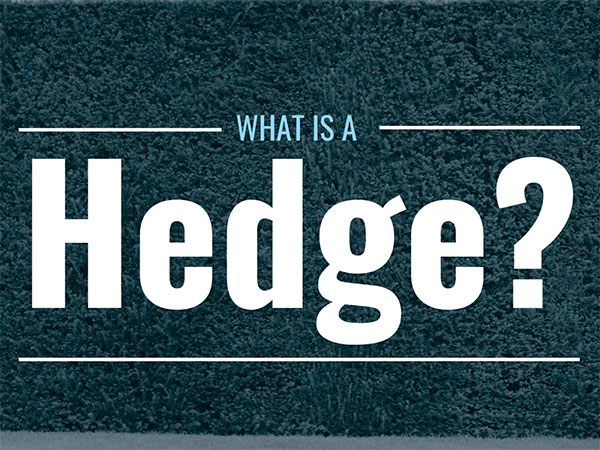 The Hedging Process: How Does It Work?
